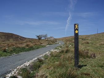 Image of The trail started as a road
