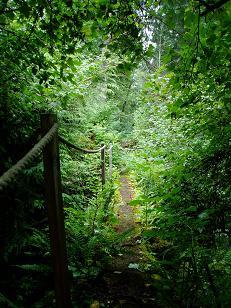 Image of Ten Creek bridge