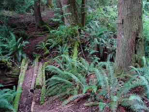 Image of Joe's crossing (between Klaus and Boyle lakes)