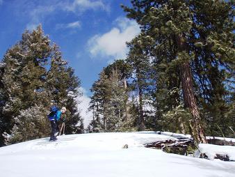 Image of Skiing up Bearjack Ridge