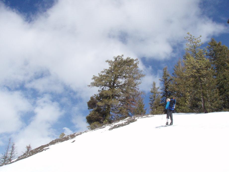 Image of Bearjack Ridge point 4,480'+