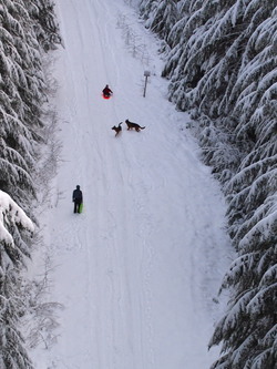 While we were on the trestle we watched some folks below us sledding and playing on Hansen Creek Road.