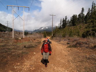 Image of We followed a logging road until we turned SW and started ascending a forested slope
