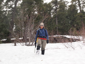 Image of It is late May, below 3,500', and it is snowing.