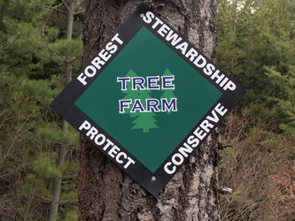Image of A sign at our trail head.