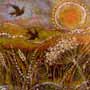 batik triptych