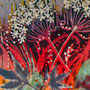 QAL detail