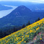 DOgMtn