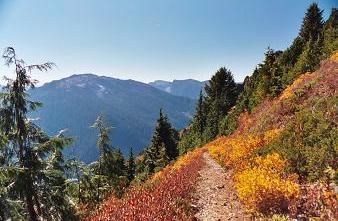 Goat Mountain (Lake Philippa quad) from Bare Mountain trail