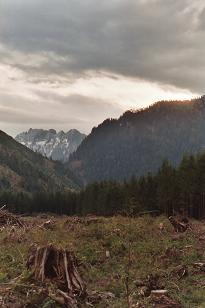 Bessemer Mountain over clearcut near Lake Hancock