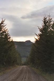 Hancock's Comb from just past North Fork gate 11