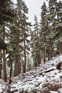 Boot path from Commonwealth Basin up Guye Peak