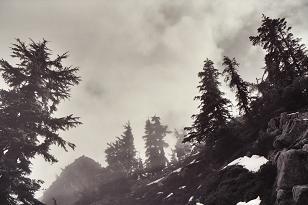 Summit of Low Mountain from the north ridge