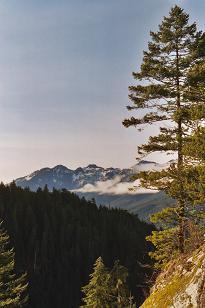 South Middle Fork Valley from Choirboy