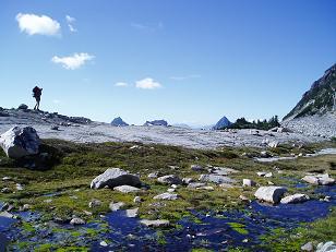 Looking north from La Bohn Lakes