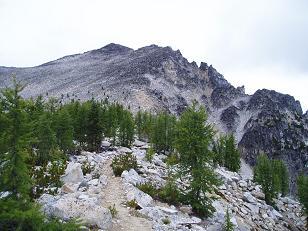 Bootpath leading to the summit of Remmel Mountain