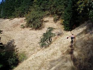 Descending Ruckle Creek trail (trail #405)