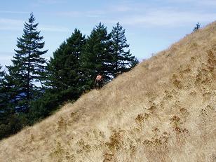 Descending Ruckle Creek trail (trail #405)