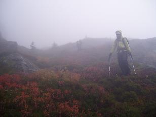 Descending on the upper part of the basin