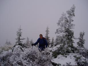 Ice coated trees near the summit of Bluff Mountain