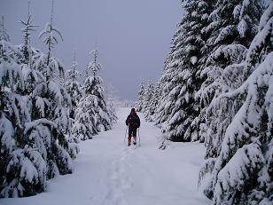 Snowshoeing up Road 6330 on Mineral Butte