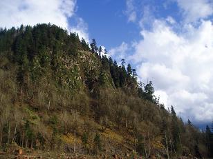 Pelletgun Hill from North Fork Road