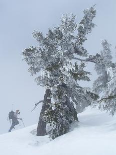 Ascending the SW ridge 30 feet below the summit of Tunnel Vision Peak