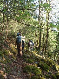 Fuller Mountain trail