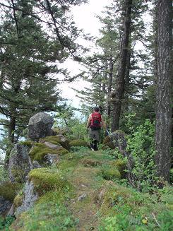 Path to the viewpoint SE of the summit of Archer Mountain