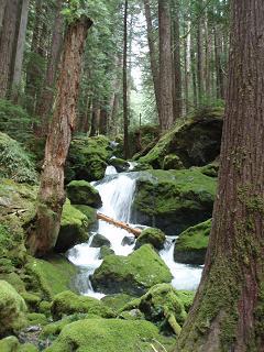 Waterfall in the Valley of the Silent Men