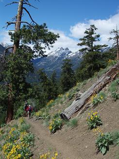 Driveway Butte trail