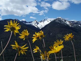 Silver Star Mountain from Driveway Butte trail