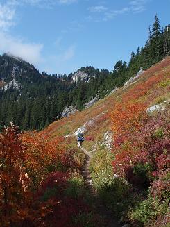 PCT east of Trap Pass