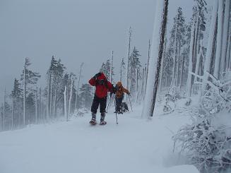 Mark, Carla, and Logan