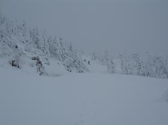 The meadow below the summit of Mount Persis