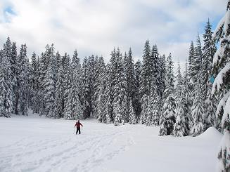 Nordic Pass trail