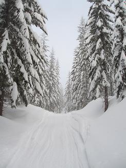 Road 124 up Keechelus Ridge