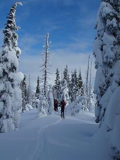 Summit of Welldiggers Ass