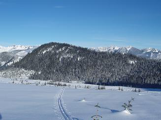 Rockdale Ridge from Olallie Meadow