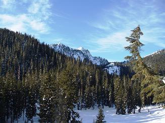 Lichtenberg Mountain from Smith Brook Road