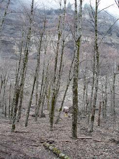 Flats below Red Bluffs