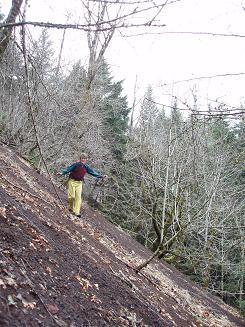 Scree slope just east of Greenleaf Creek