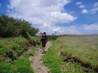 Hilina Pali trail