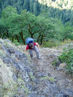 Munra Point trail