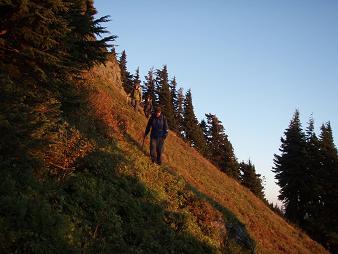 Descending meadow beneath the summit of Rampart Ridge SE Peak