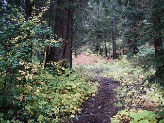 Miller Creek trail