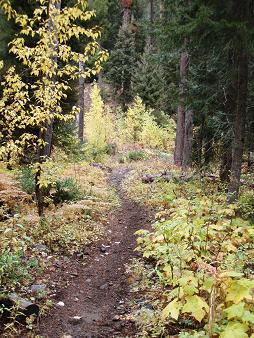 Miller Creek trail