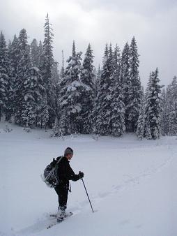 Scatter Creek meadow