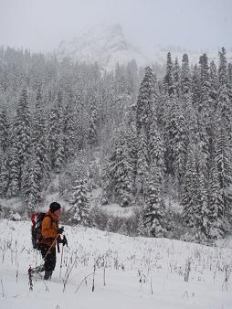 Scatter Creek Meadow