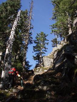 Gully south of Little Comrade's sub-peak